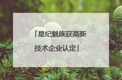星纪魅族获高新技术企业认定